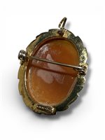 Brosche Mandile 1922 Dame Cammei  in Silber Conchiglia 2MSPCM16 - 2MSPCM16